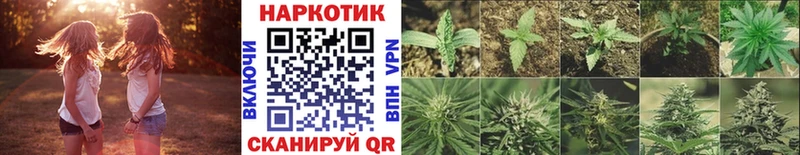 Магазин наркотиков Коряжма КОКАИН  Канабис  А ПВП  KRAKEN ТОР  Бутират  Гашиш  Меф  Амфетамин 