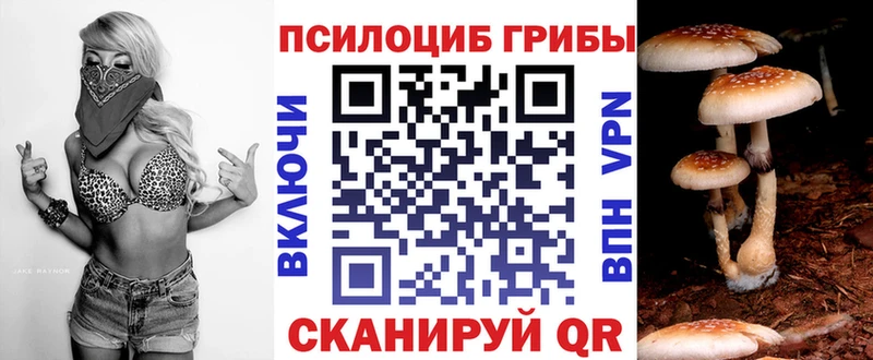 Псилоцибиновые грибы Psilocybe  Коряжма 
